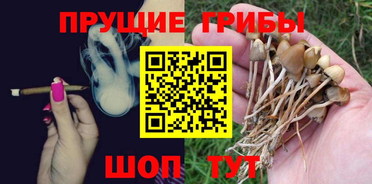 Галлюциногенные грибы MAGIC MUSHROOMS Карталы