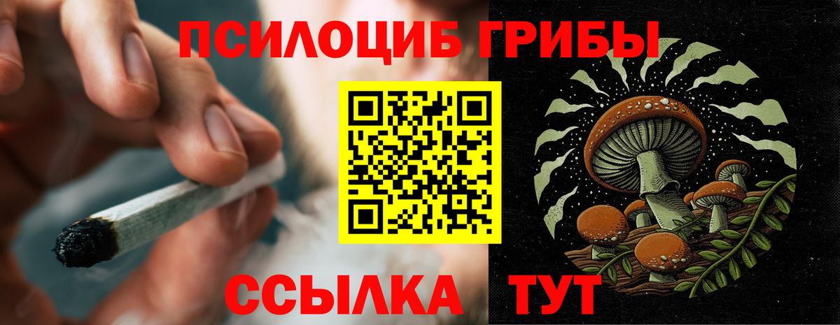 Карталы  Псилоцибиновые грибы мухоморы  Вход с VPN 